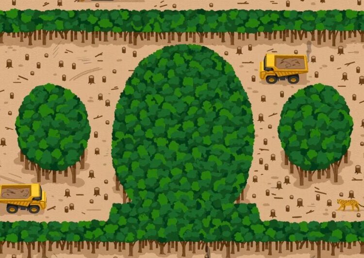 I asked a billionaire about his environmental philanthropy. It didn’t go well.