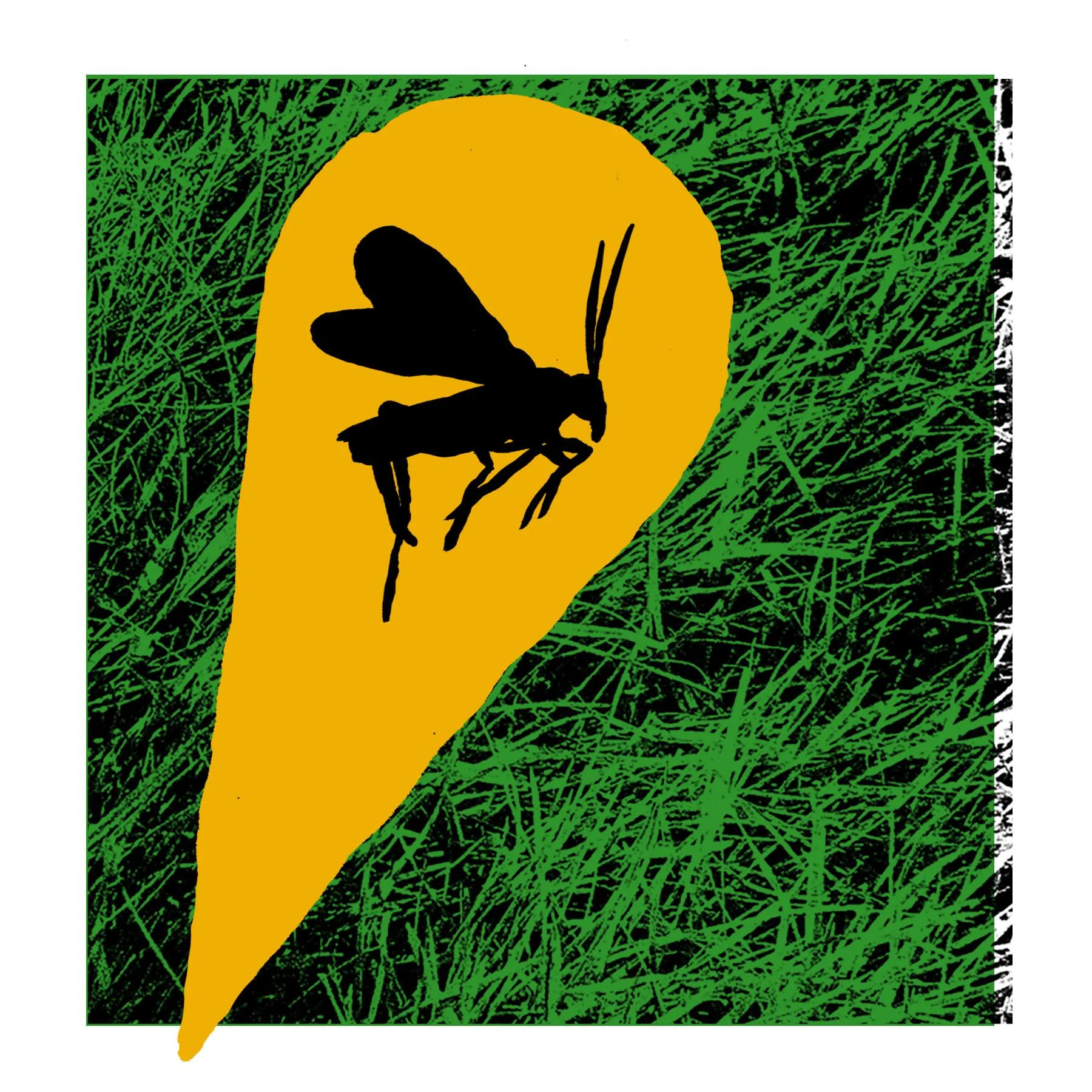 the silhouette of a wasp spotlighted in yellow atop green grass the silhouette of a wasp spotlighted in yellow atop green grass