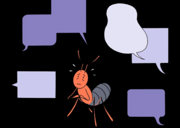 What’s more likely to be sentient: an ant or ChatGPT?