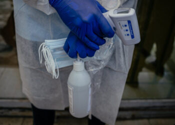 What is the Bundibugyo Virus Involved in the Ebola Outbreak?