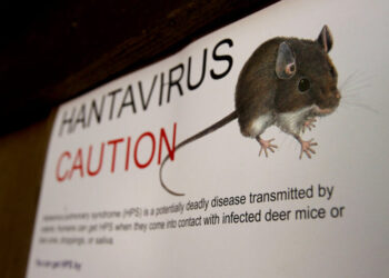 ‘You Just Can’t Get the Air In’: How Hantavirus Turns Deadly