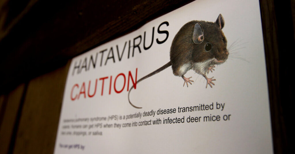 ‘You Just Can’t Get the Air In’: How Hantavirus Turns Deadly