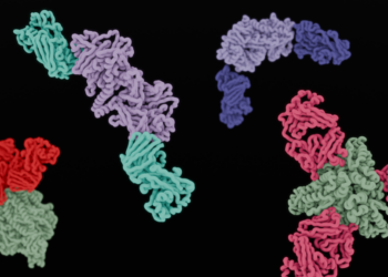 There could be a potential path for blocking measles after getting exposed