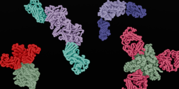 There could be a potential path for blocking measles after getting exposed