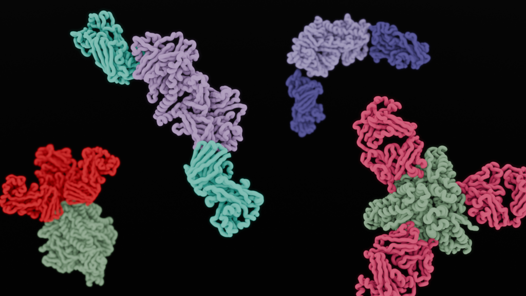 There could be a potential path for blocking measles after getting exposed
