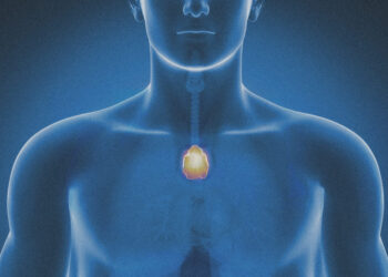 The body’s most mysterious organ may play a key role in longevity and cancer