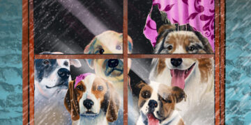 How to keep pets from going nuts when the weather keeps you inside