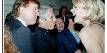 This ‘secret weapon’ lets Trump and Epstein elite ‘get away with anything’: author