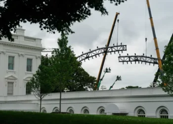 Trump’s ‘tacky’ White House makeover reaches new heights amid ‘bug infestation’: report