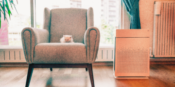 Air Purifiers Do Something Cool to Your Brain After 40