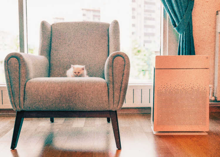 Air Purifiers Do Something Cool to Your Brain After 40