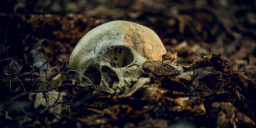 Archaeologists Found Hundreds of Mass Graves So Large They Can Be Seen From Space