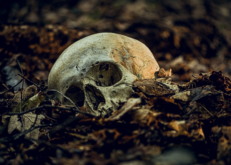 Archaeologists Found Hundreds of Mass Graves So Large They Can Be Seen From Space
