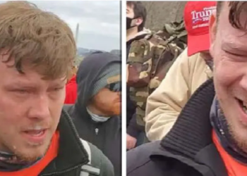 Trump admin doubles down after getting busted for defending child sex offender and J6er