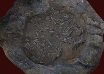 Archaeologists Made a Disturbing Discovery Inside These Massive Stone Jars