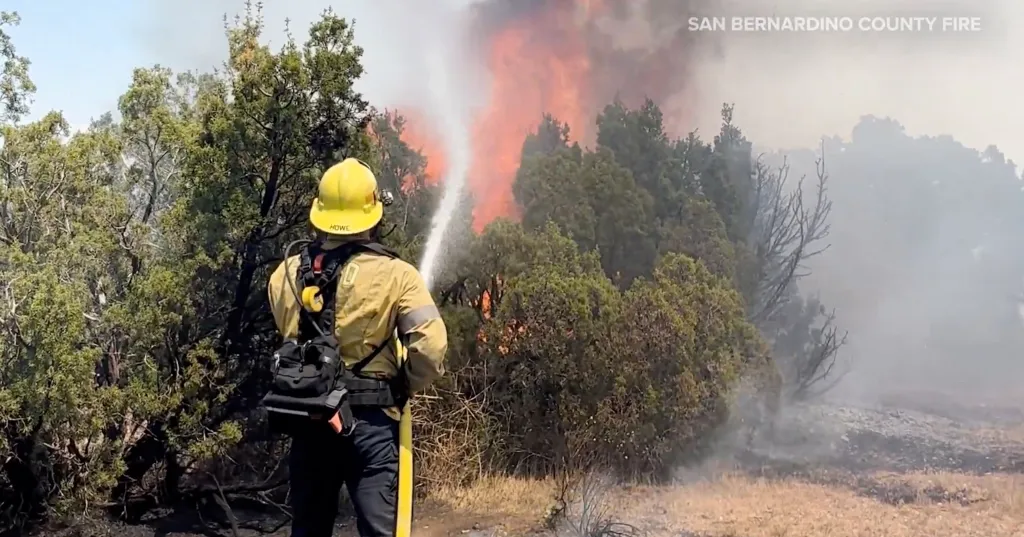 A firefighter sprays water on a brush fire burning through green trees and shrubs.