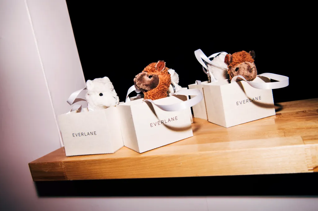 Three small Everlane shopping bags, each containing a stuffed animal, are arranged on a wooden surface.