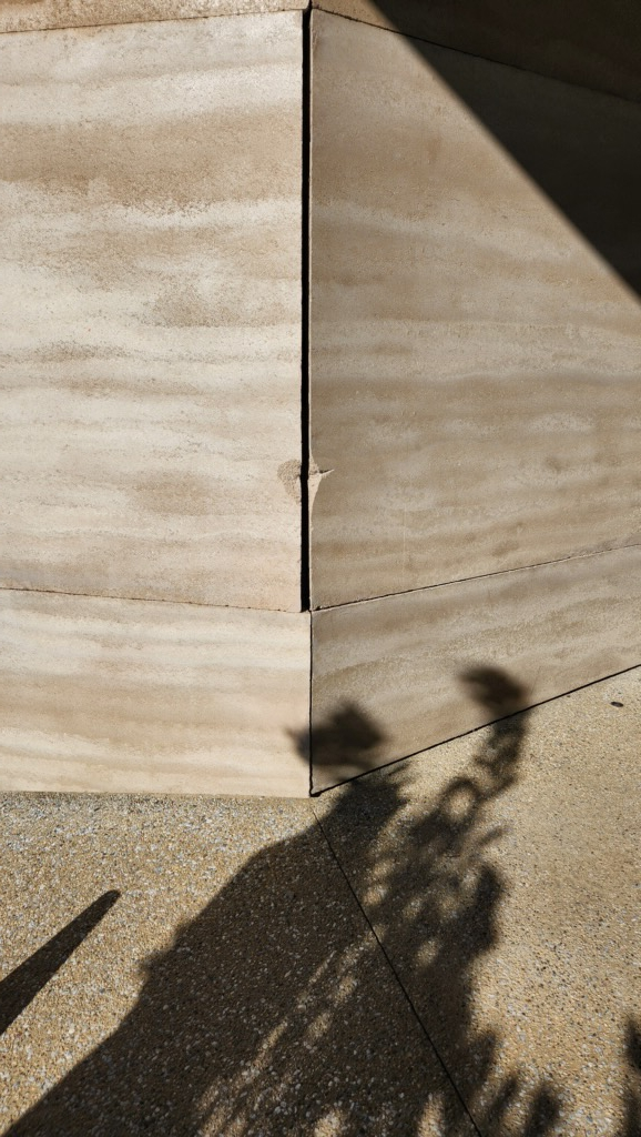 Shadows on a textured wall and ground, suggesting a structure and landscaping.