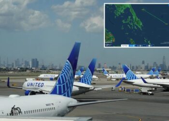 United Airlines flight makes emergency landing after unhinged passenger storms cockpit