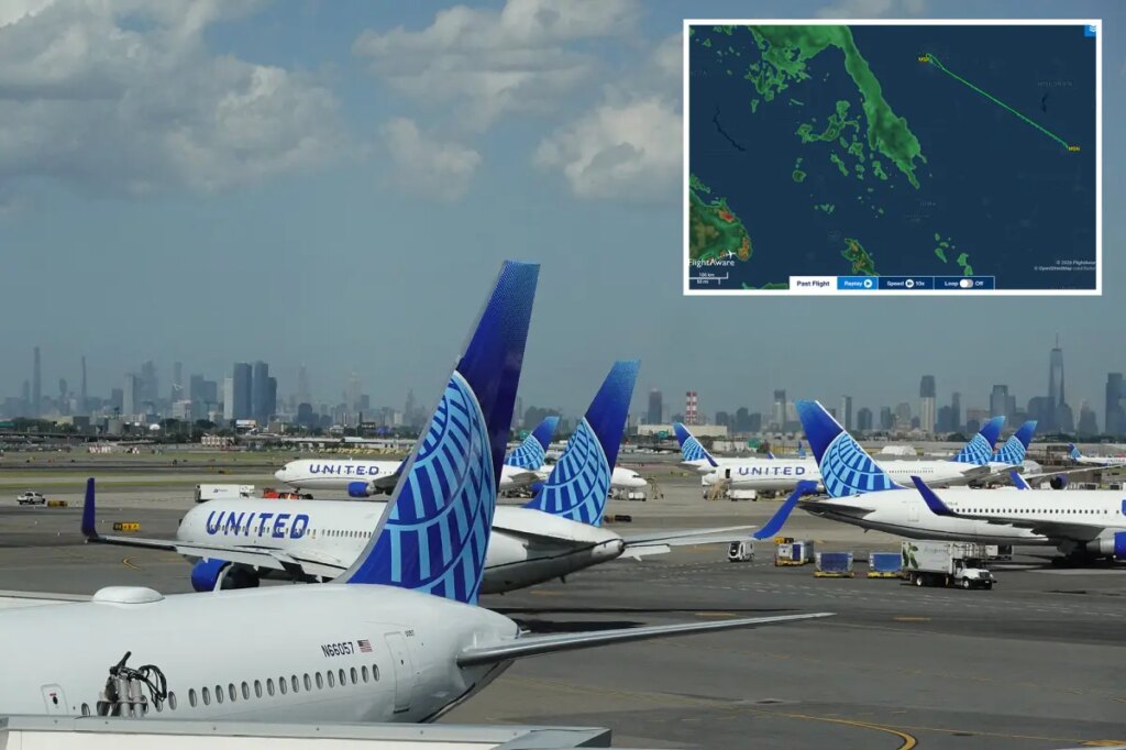 United Airlines flight makes emergency landing after unhinged passenger storms cockpit