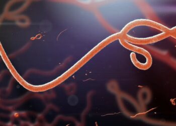 Trump cuts left region ‘dangerously exposed’ to fatal virus now infecting hundreds: report