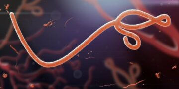Trump cuts left region ‘dangerously exposed’ to fatal virus now infecting hundreds: report