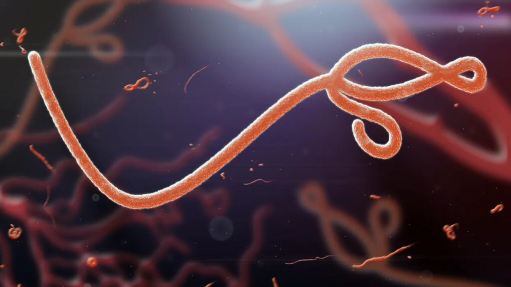Trump cuts left region ‘dangerously exposed’ to fatal virus now infecting hundreds: report