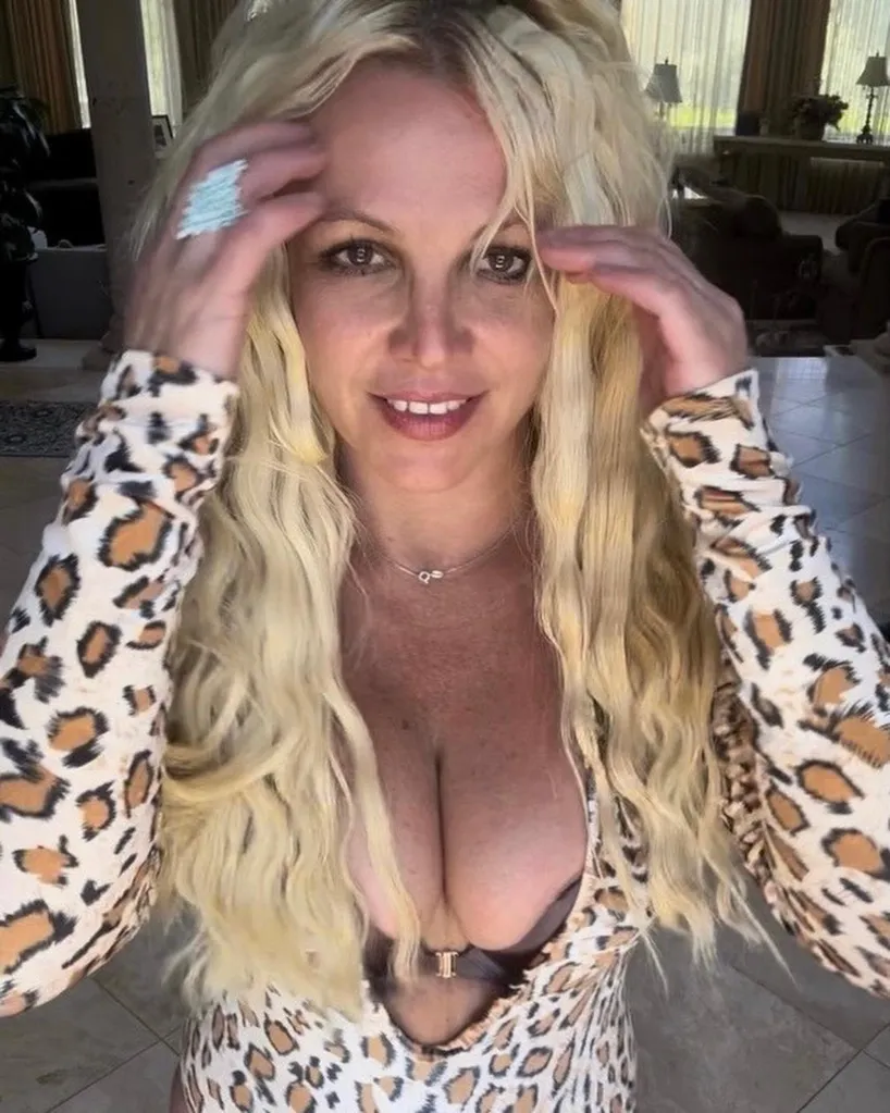 Britney Spears in a leopard print top.