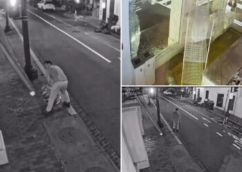 Bro tosses beer keg through DC bakery’s window, causing $10K in damage — and leaving baker terrified: video