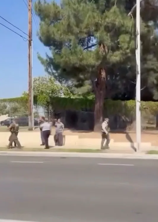 Police officers on a sidewalk with a tree and a road in the foreground.