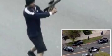 Rifle-wielding maniac opens fire on random cars on busy Massachusetts road