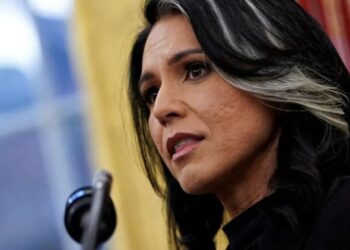 Tulsi Gabbard to exit ‘in blaze of glory’ with massive data dump: insider