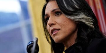Tulsi Gabbard to exit ‘in blaze of glory’ with massive data dump: insider