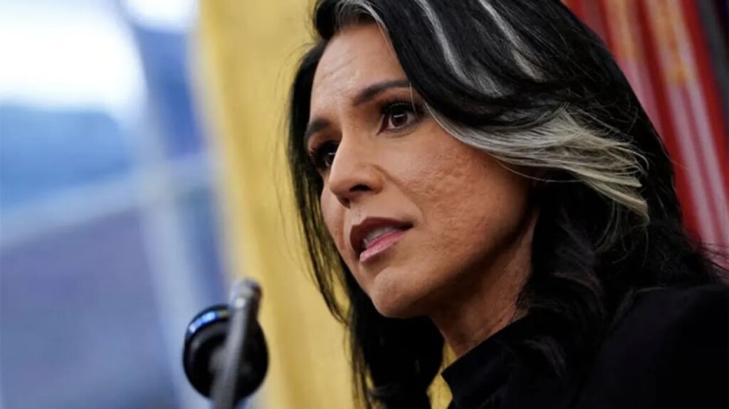 Tulsi Gabbard to exit ‘in blaze of glory’ with massive data dump: insider