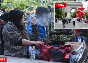 Washington Square Park was NYC’s least safe green space in 2025: startling crime stats