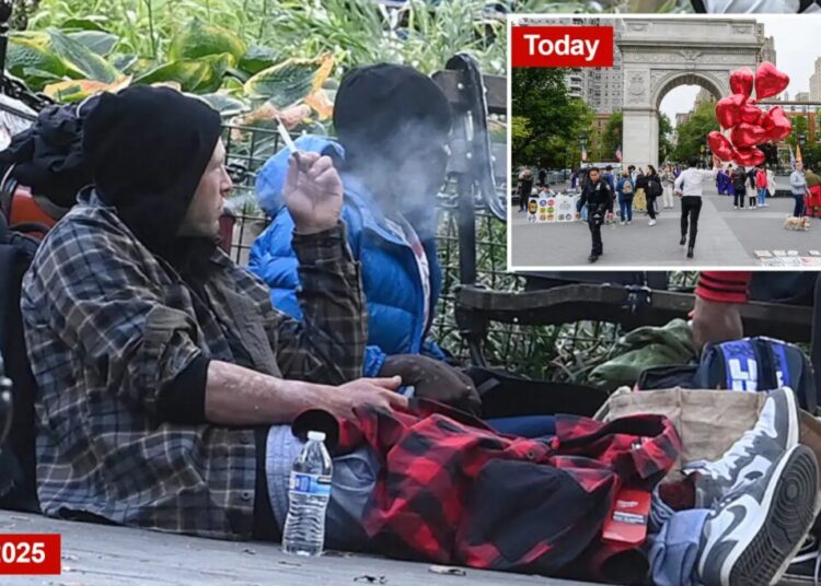Washington Square Park was NYC’s least safe green space in 2025: startling crime stats