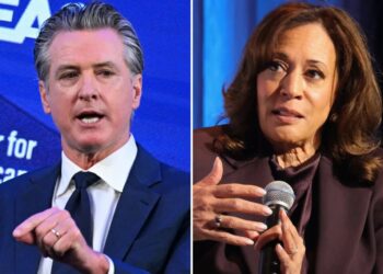 New presidential poll shows Gavin Newsom, Kamala Harris in dead heat as report on 2024 run exposes party failures