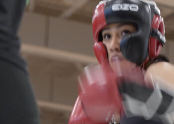 The New Harvard Trend? Getting Punched in the Face.