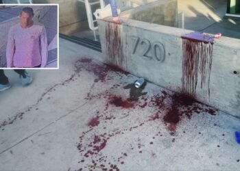 Samurai sword-wielding maniac nearly hacked off man’s arm in Venice —and he’s on the run