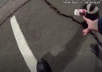 Colorado police rescue unlucky skunk stuck in a cup
