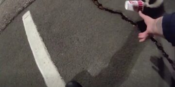 Colorado police rescue unlucky skunk stuck in a cup