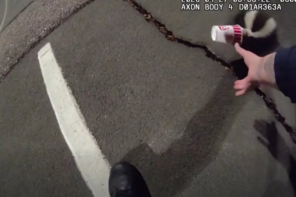 Colorado police rescue unlucky skunk stuck in a cup