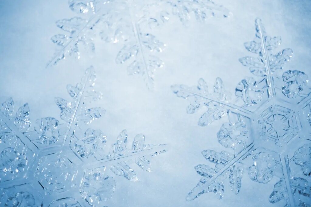 The symptoms of ‘snowflake disease’ — and why it ‘becomes more severe over time’