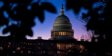 He Offered a Lawmaker’s Aide Quick Cash. Was He Spying for China?