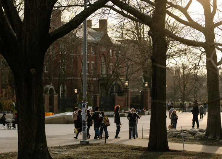 Research Funding Slows Again for Universities Targeted by White House