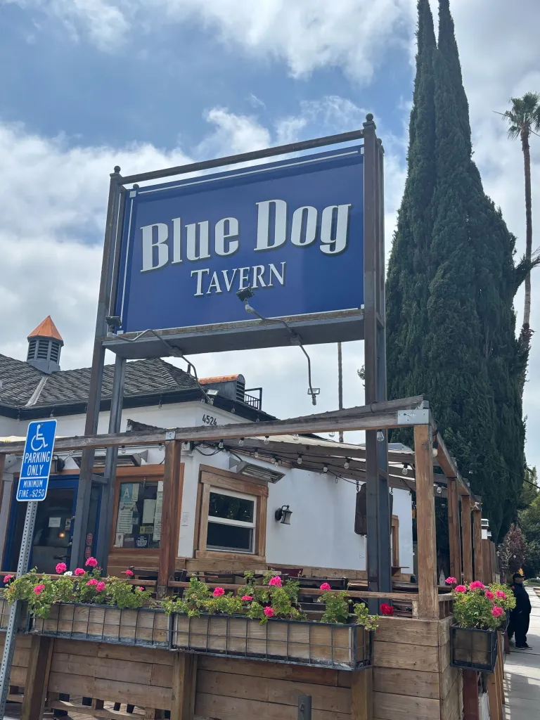 The 