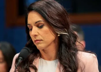 Friendly fire hits Trump officials as ‘drama’ forces shutdown of Tulsi Gabbard group