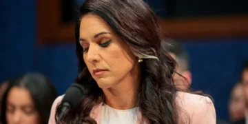 Friendly fire hits Trump officials as ‘drama’ forces shutdown of Tulsi Gabbard group