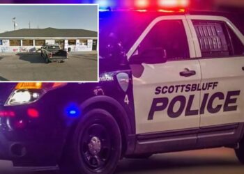 Dog fires off multiple gunshots, hits driver near Nebraska gas station: cops