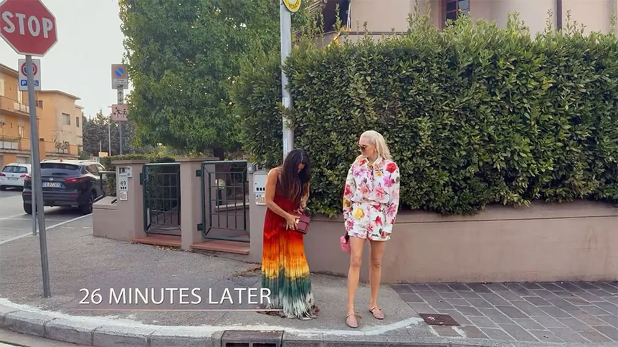 Dorit Kemsley and Erika Jayne standing by a hedge in Italy.